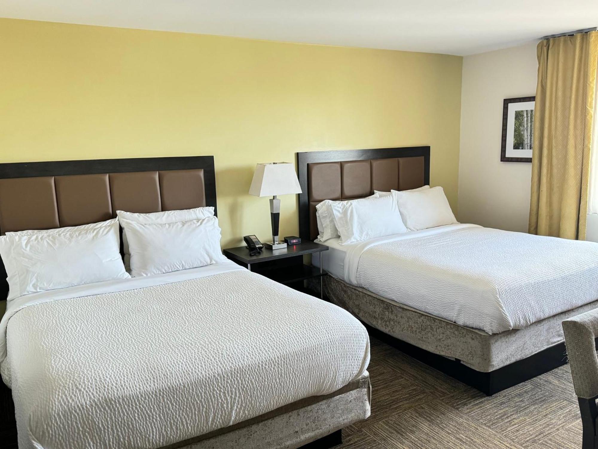Candlewood Suites Philadelphia - Airport Area By Ihg Честър Екстериор снимка